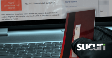 Online Credit Card Theft - A Brief Overview of Online Fraud and Abuse