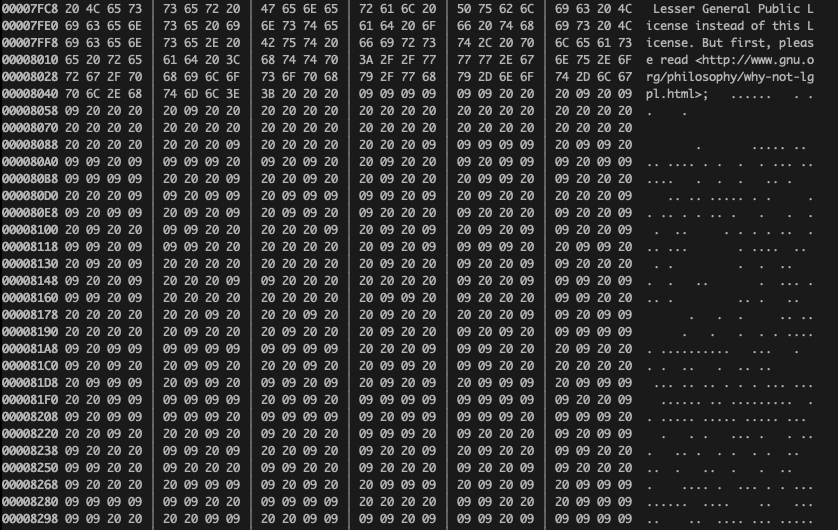 Hex view of code contents found in fake license file