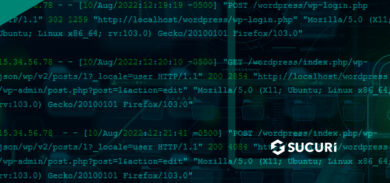 The importance of website logs for security and accountability
