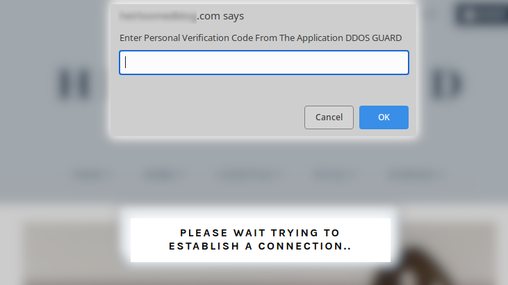 Verification code request