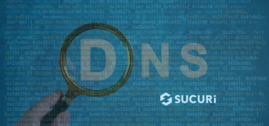 From Google DNS to Tech Support Scam Sites: Unmasking the Malware Trail